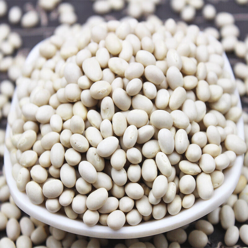 white beans magnetic separator.jpg